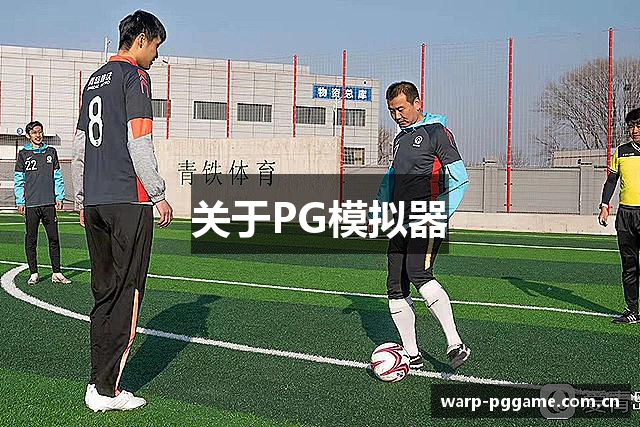 关于PG模拟器